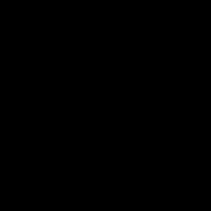 Meet your Posher, Brannon